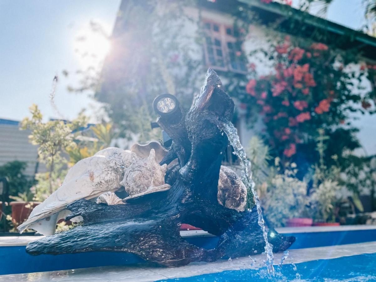 Cool Breeze Authentic Hotel Labuan Bajo Komodo Εξωτερικό φωτογραφία